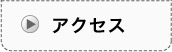 リンクボタン：アクセスページ